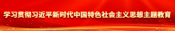 美女视频操逼逼学习贯彻习近平新时代中国特色社会主义思想主题教育